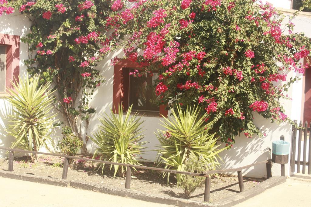 Apartament Molino El Mastral *
