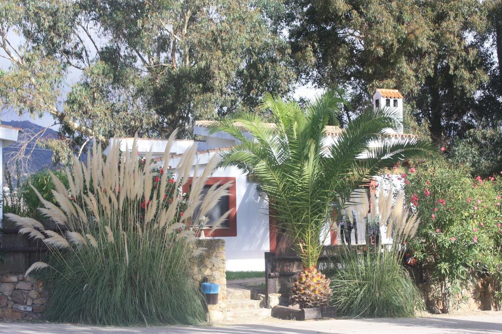 Apartament Molino El Mastral