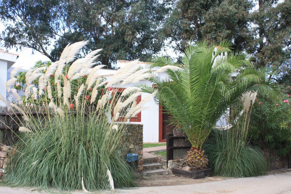 Apartament Molino El Mastral *